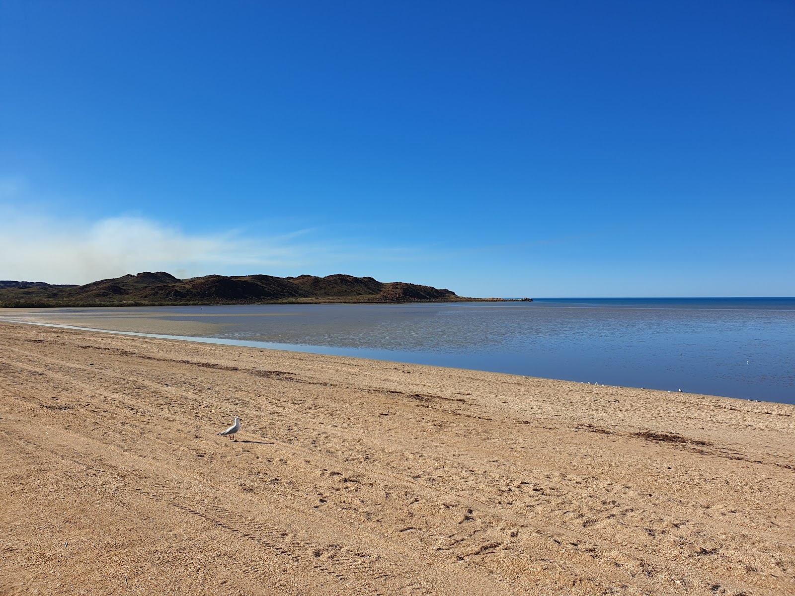 Hearson's Cove photo #8