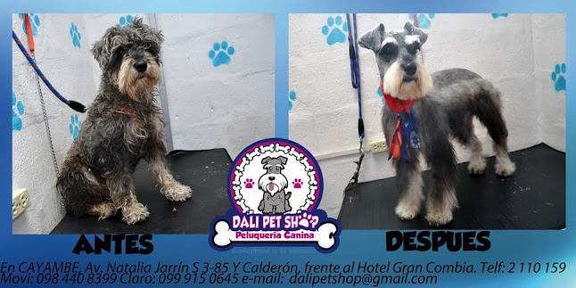 Dali Petshop & Peluquería Canina