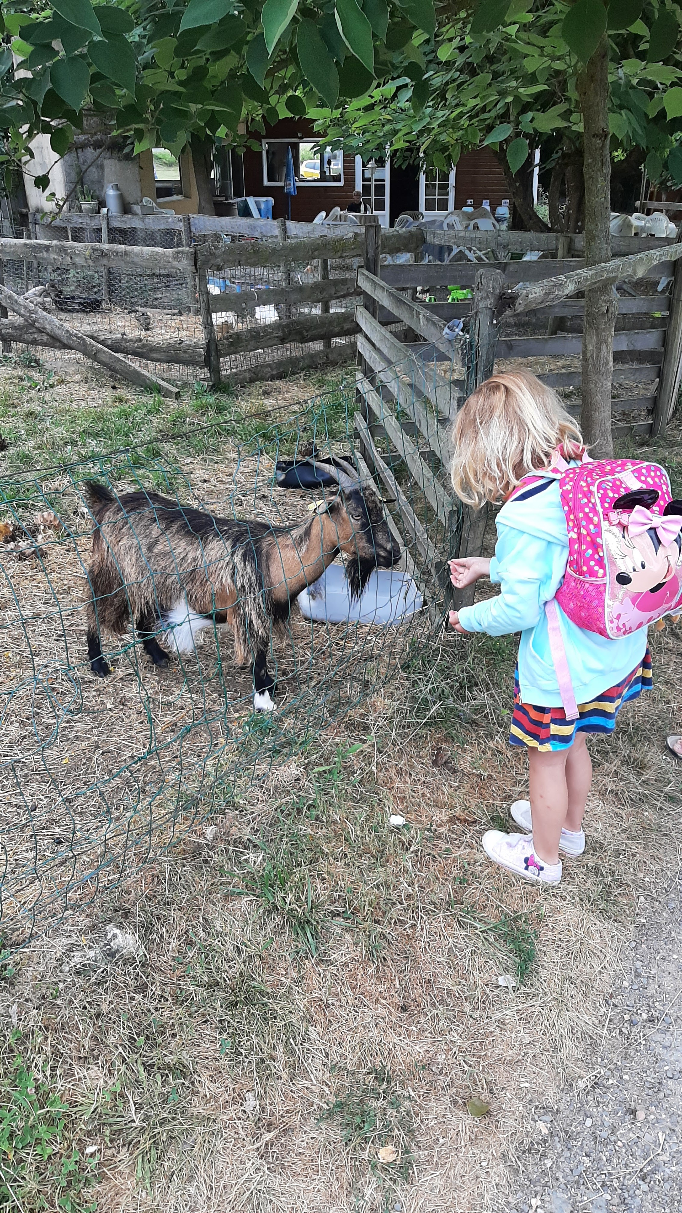 Photo n° 3 de l'avis de Corinne.a fait le 05/08/2023 à 09:26