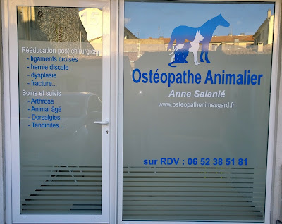 Anne Salanié Ostéopathe Animalier à Nîmes