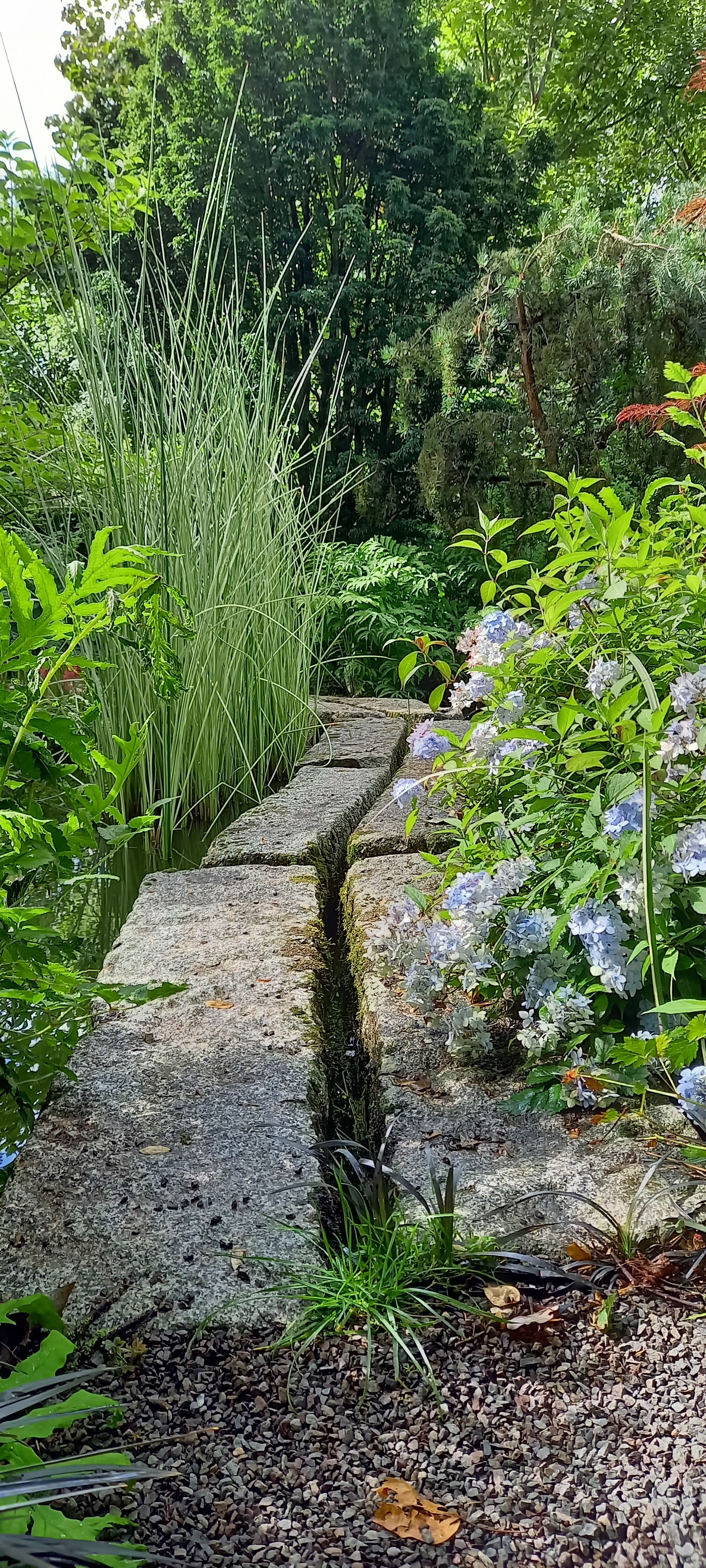 Photo n° 4 de l'avis de Hélène.� fait le 14/07/2022 à 08:00
