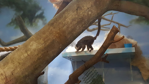 Golf Course «City Park Golf Course», reviews and photos, 2500 York St, Denver, CO 80205, USA