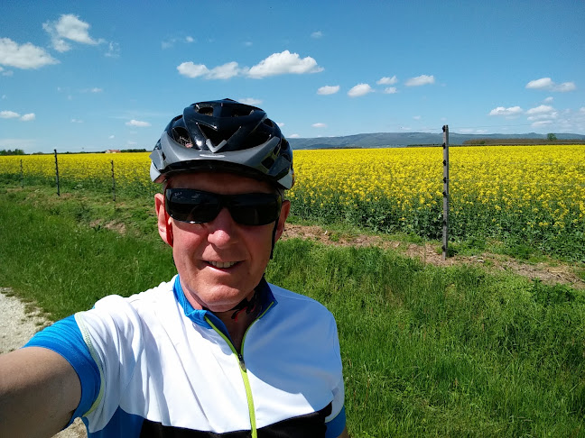 Értékelések erről a helyről: Larix Kft., Szombathely - Kertészkedő