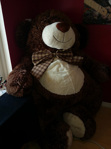 Movie Theater «AMC The Regency 20», reviews and photos, 2496 W Brandon Blvd, Brandon, FL 33511, USA