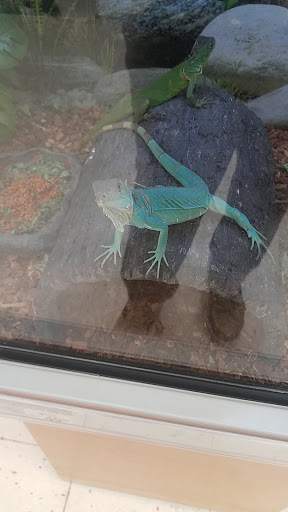 Pet Supply Store «Petco Animal Supplies», reviews and photos, 9230 Old Keene Mill Rd b, Burke, VA 22015, USA