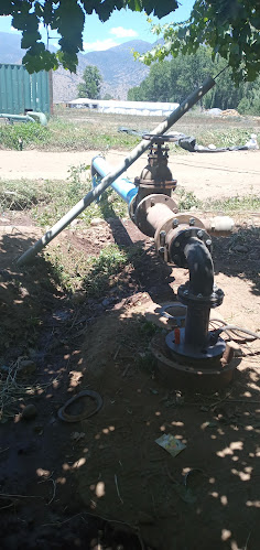 Agricola Los Alamos LTDA