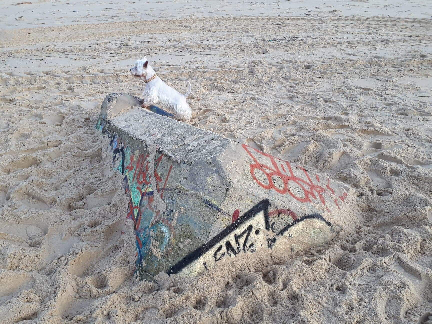 Photo n° 4 de l'avis de pascale.u fait le 17/02/2018 à 20:28