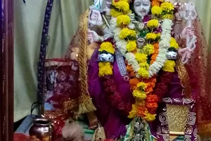 Shri Laxminarayan Devalaya image
