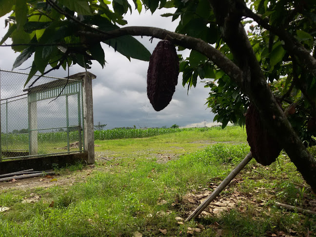 Opinii despre ASGROQUIRO în Mocache - Tienda de ultramarinos
