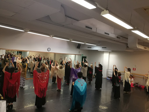 Centri per studiare il flamenco Milano