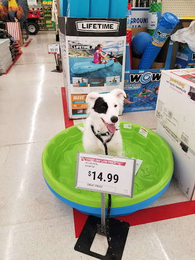 Home Improvement Store «Tractor Supply Co.», reviews and photos, 11250 Preston Hwy, Louisville, KY 40229, USA