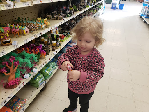 Pet Supply Store «PetSmart», reviews and photos, 1276 Bald Hill Rd, Warwick, RI 02886, USA