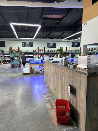 Tropical Fish Store «C K Fish World», reviews and photos, 410 N Azusa Ave, West Covina, CA 91791, USA