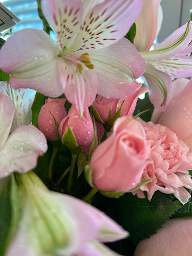 Florist «Moates Florist», reviews and photos, 5034 N Nebraska Ave, Tampa, FL 33603, USA