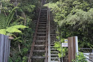 Scenic World image