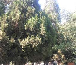 Parque Público Laguna de Rodeo photo