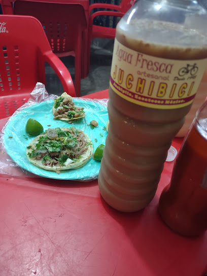 Tacos El Piojos - Gral. Enrique Estrada, Enrique Estrada, 99960 Juchipila, Zac., Mexico