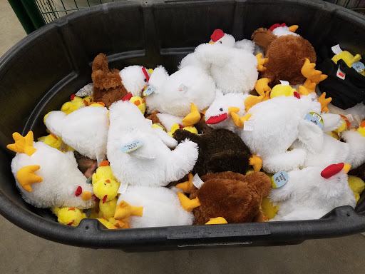 Department Store «Rural King», reviews and photos, 1800 S Ohio St, Martinsville, IN 46151, USA