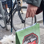 Photo n°4 de l'avis de jocki1975. fait le 24/03/2023 à 10:21 sur le  Zaddy's à Berlin