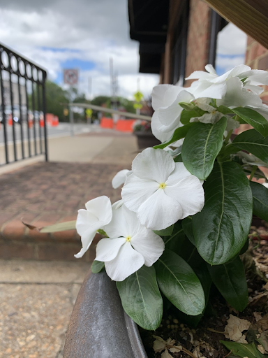 Insurance Agency «Allstate Insurance Agent: Ellen Ess», reviews and photos