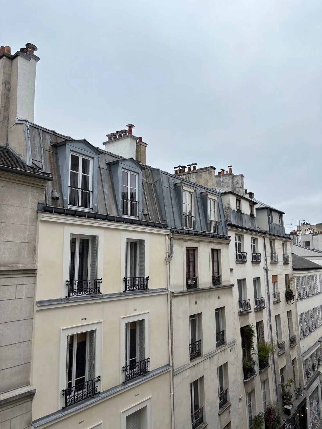 Photo n° 1 de l'avis de william.h fait le 13/02/2024 à 07:33