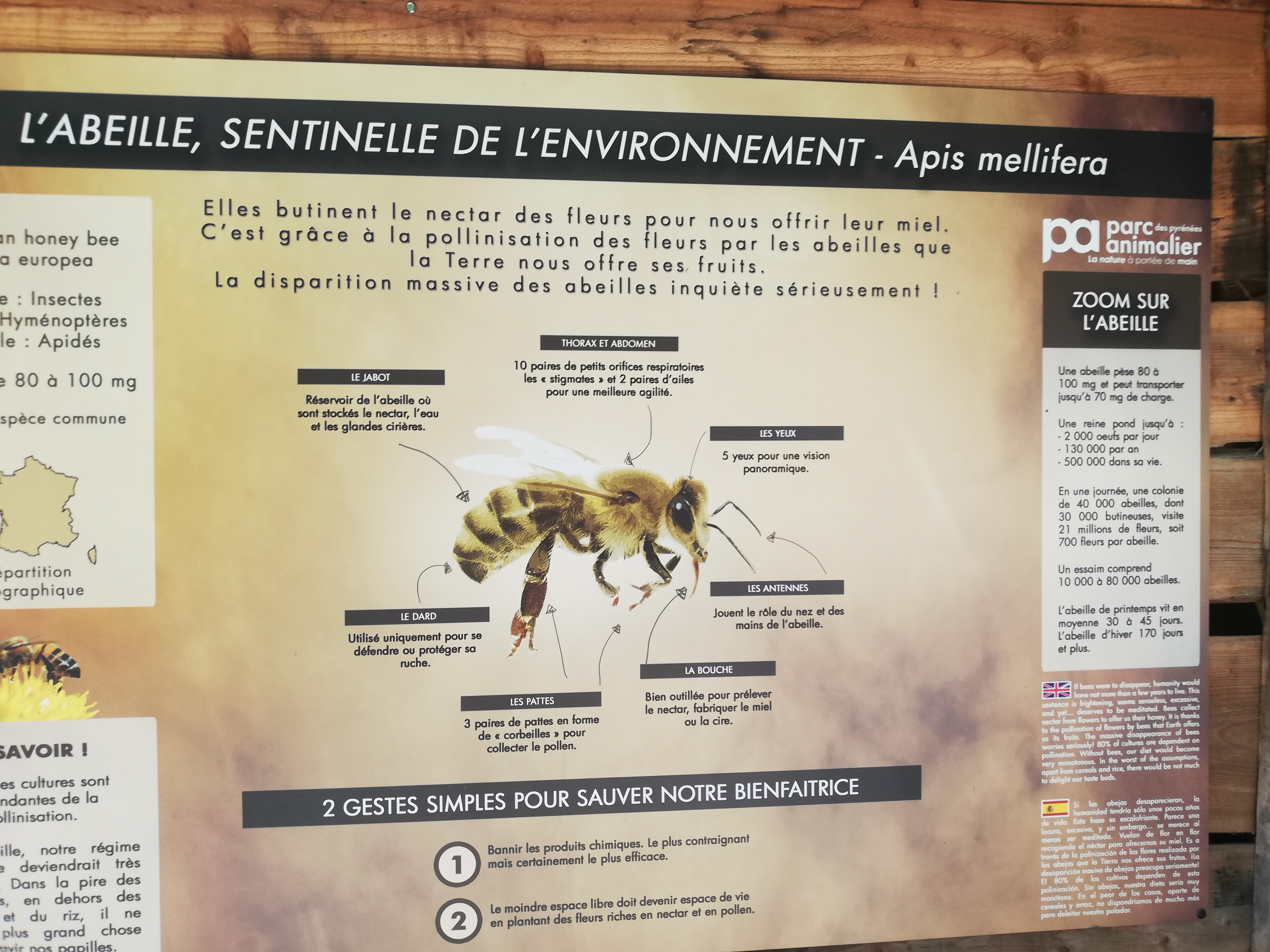 Photo n° 38 de l'avis de Soleil. fait le 20/08/2020 à 12:36