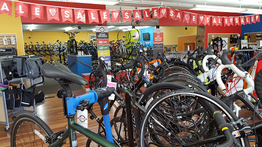 American Cycle & Fitness - The Trek Bicycle Stores of Michigan