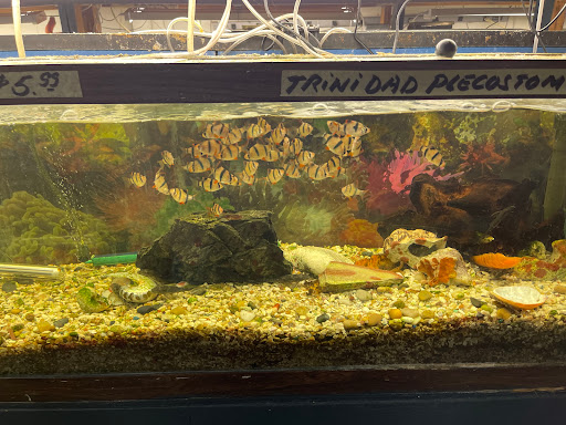 Gift Shop «Asia Gifts & Aquarium», reviews and photos, 763 S 38th St, Tacoma, WA 98418, USA