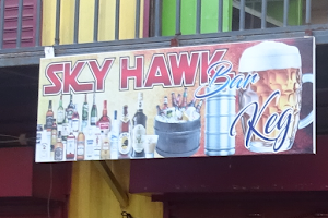 SKY HAWK / bar image