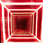 Photo n°5 de l'avis de Mauro.r fait le 02/12/2023 à 16:01 sur le  FLOR à Bologna