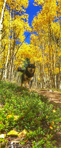 Outdoor Sports Store «Leadville Outdoors and Mountain Market», reviews and photos, 225 Harrison Ave, Leadville, CO 80461, USA