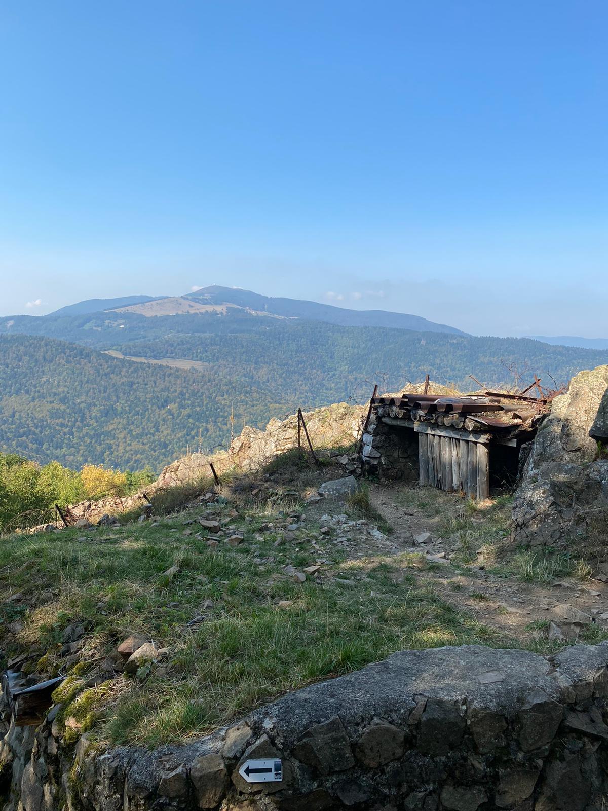 Photo n° 12 de l'avis de Andre.� fait le 18/09/2020 à 12:33