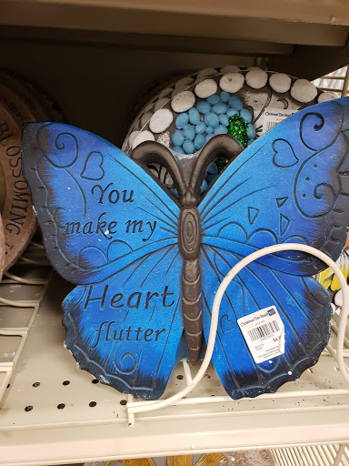 Home Goods Store «Christmas Tree Shops», reviews and photos, 2925 Festival Way, Waldorf, MD 20601, USA