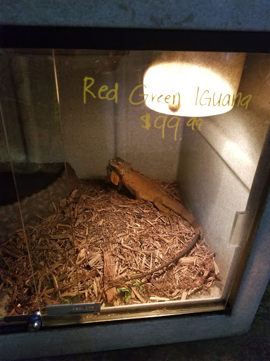 Pet Store «Wildside Pets», reviews and photos, 1042 N Higley Rd #105, Mesa, AZ 85205, USA