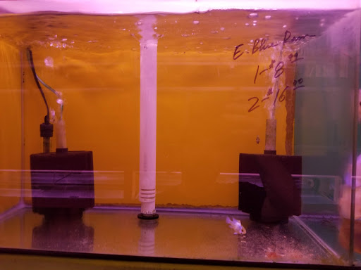 Pet Store «D D Fish & Pets», reviews and photos, 2413 S Fairview St, Santa Ana, CA 92704, USA