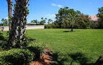 Sakura Lawn Care - Photo 4 - Car repair in Hialeah, FL, Miami