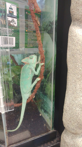 Pet Supply Store «Petco Animal Supplies», reviews and photos, 26 Coliseum Crossing, Hampton, VA 23666, USA