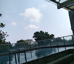 Whiz Prime Pajajaran photo