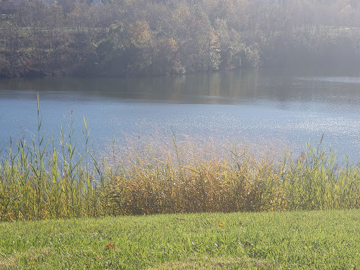 Toy Store «aMuse Toys-Quarry Lake», reviews and photos, 2580 Quarry Lake Dr, Baltimore, MD 21209, USA