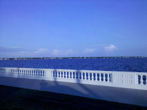 Shoe Store «Feet First», reviews and photos, 3401 W Bay to Bay Blvd, Tampa, FL 33629, USA