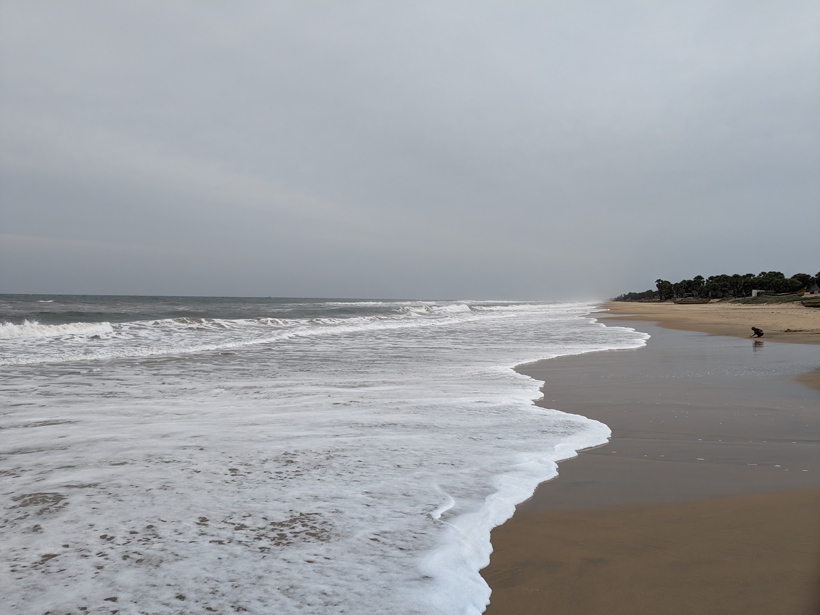 Photo de Danvaipeta Beach zone sauvage