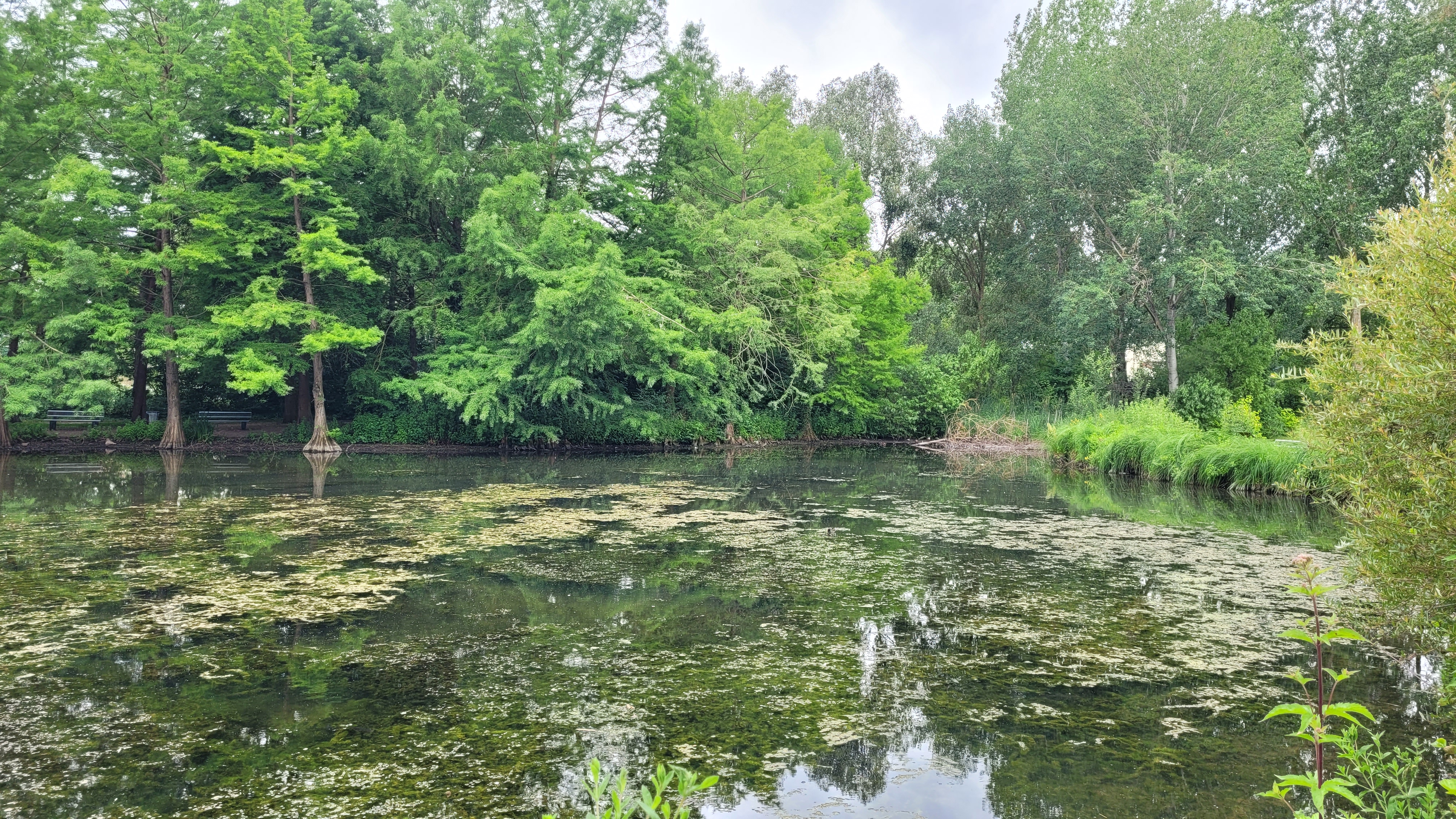 Photo n° 14 de l'avis de Laurent.R fait le 13/05/2023 à 13:11