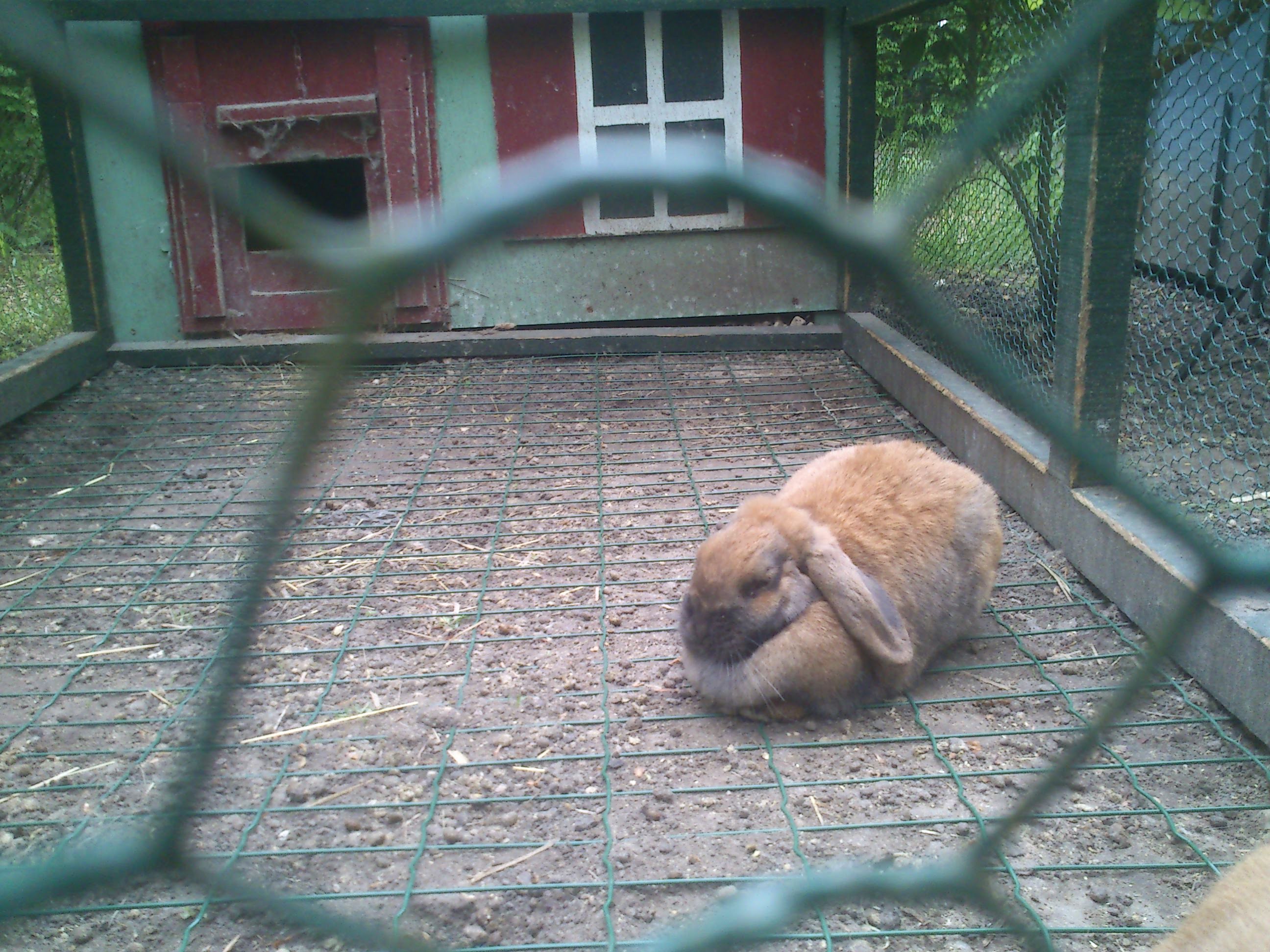 Photo n° 14 de l'avis de Guillaume.A fait le 10/05/2013 à 20:15