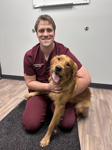 Wisconsin Veterinary Neurology & Surgical Center image