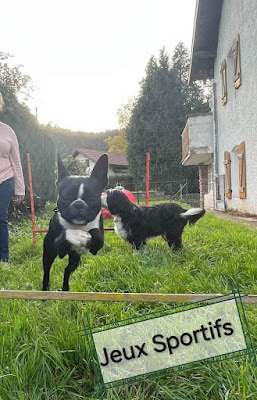 Animo'Zen à Taintrux