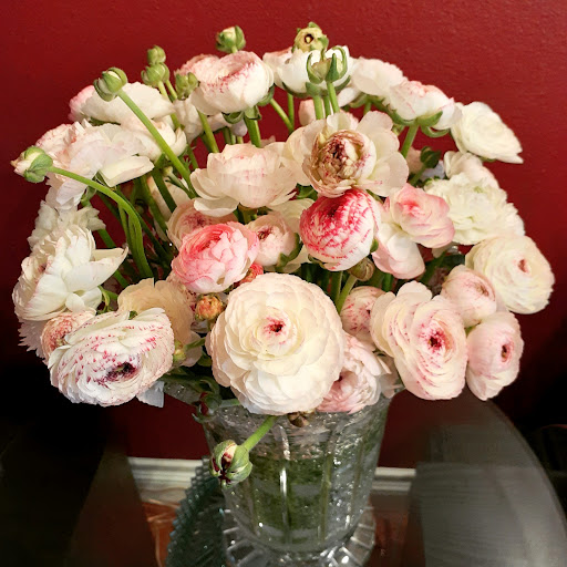 Florist «West Hollywood Florist», reviews and photos, 8205 Santa Monica Blvd, West Hollywood, CA 90046, USA