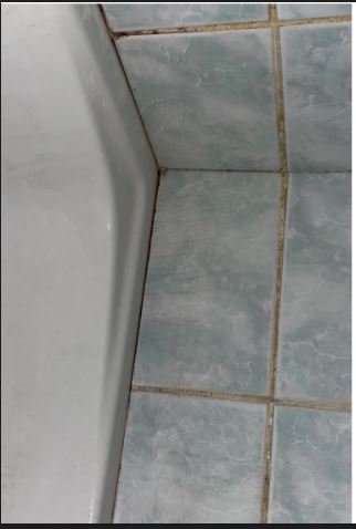 Photo n° 4 de l'avis de Jean-Jacques.A fait le 11/05/2022 à 15:02