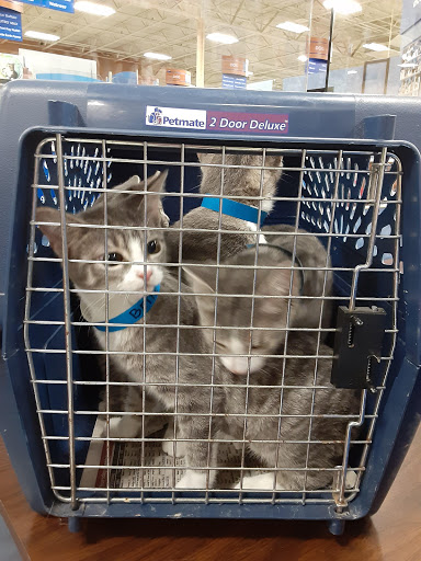 Pet Supply Store «PetSmart», reviews and photos, 3450 N Morrison Rd, Muncie, IN 47304, USA