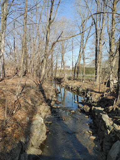 Park «Pinebrook Park», reviews and photos, 110 Ward Dr, New Rochelle, NY 10804, USA