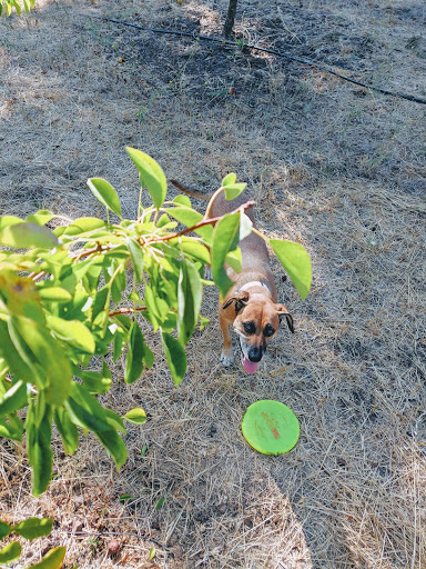 Farm «Oak Hill Farm», reviews and photos, 15101 CA-12, Glen Ellen, CA 95442, USA